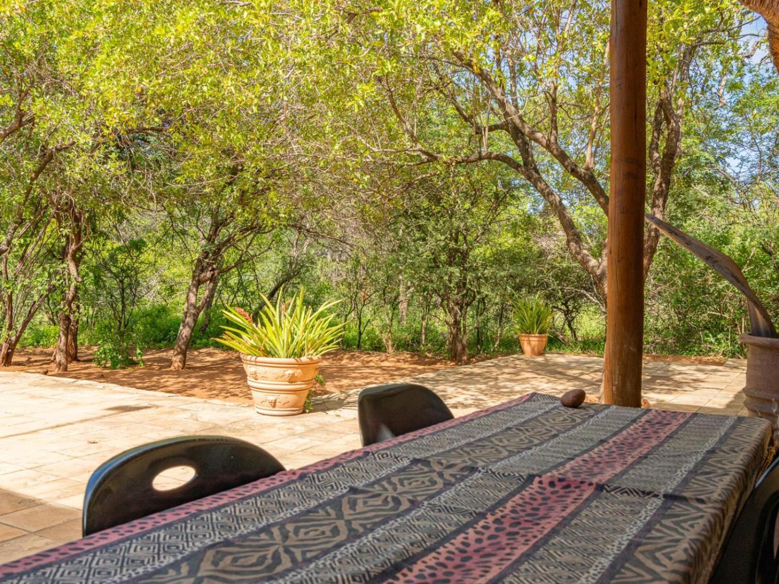 Impala Cottage Hoedspruit Kültér fotó
