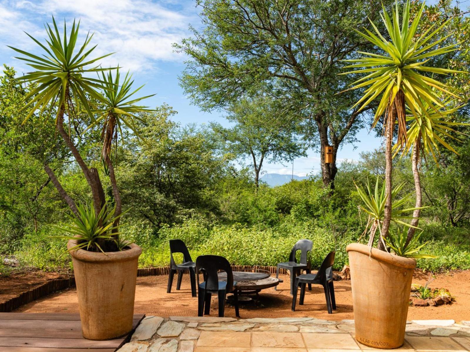 Impala Cottage Hoedspruit Kültér fotó